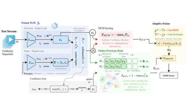 PROTON architecture: the vision and text pipelines of a frozen medical vision-language model feeding MCM scoring, an online prototype bank and a confidence gate.